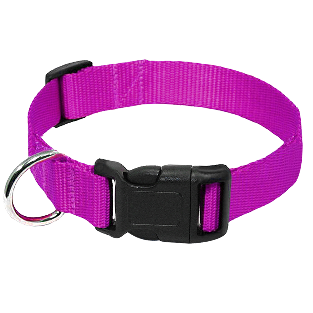 Dog Collar for Small Dogs Nylon Dog Collar Puppy Cat Collars Adjustable for Chihuahua Pug French Bulldog XS S M L: Purple / S