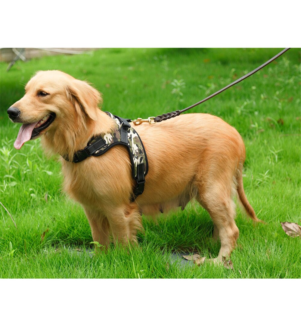 Heavy Duty Nylon Hond Huisdier Harnas Kraag Gewatteerde Extra Grote Grote Medium Kleine Hond Harnas