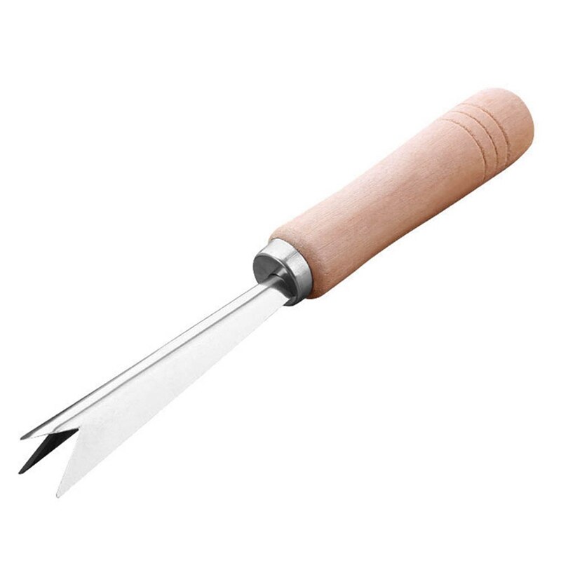 Rvs Ananas Peeler Makkelijk Ananas Mes Cutter Slicer Ananas Zaad Remover Clip Fruit Salade Tool: KN2507