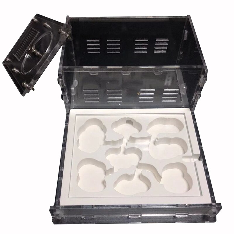Transparent Ant Villa Flat Nest Ant Workshop Acrylic Ant Small Community Feeding Box