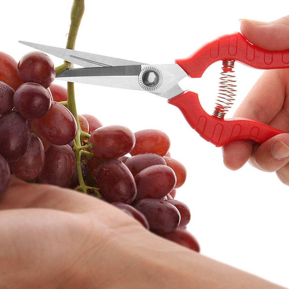 Gardening pruning fruit picking scissors