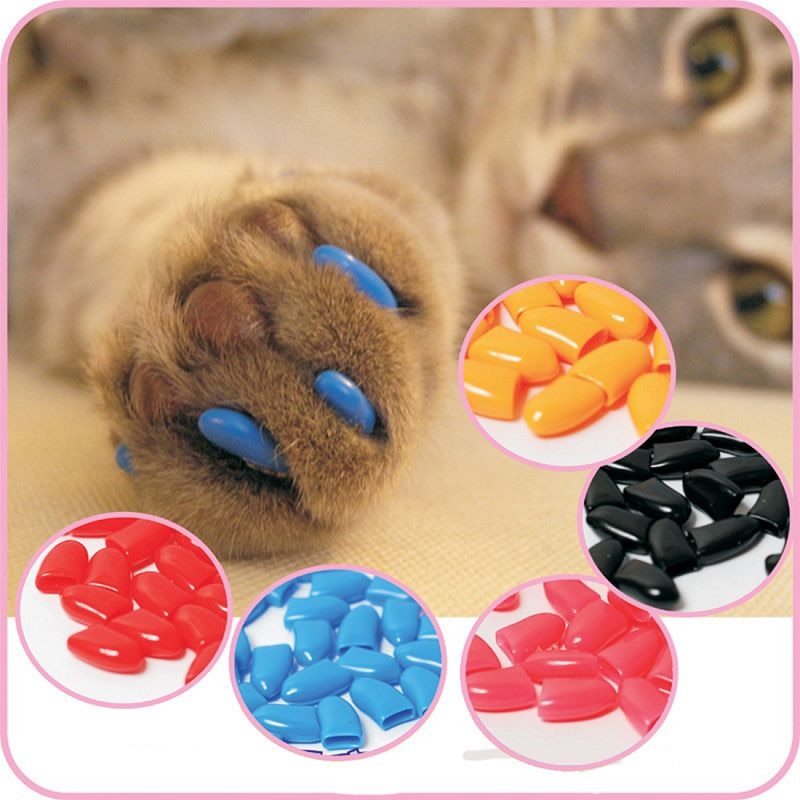 Colorful 20pcs Cats Dogs Paws Caps Protective Nail Claw Cap+ Adhesive Glue Soft Rubber Pet Nail Cover Pet Supplies Chihuahua