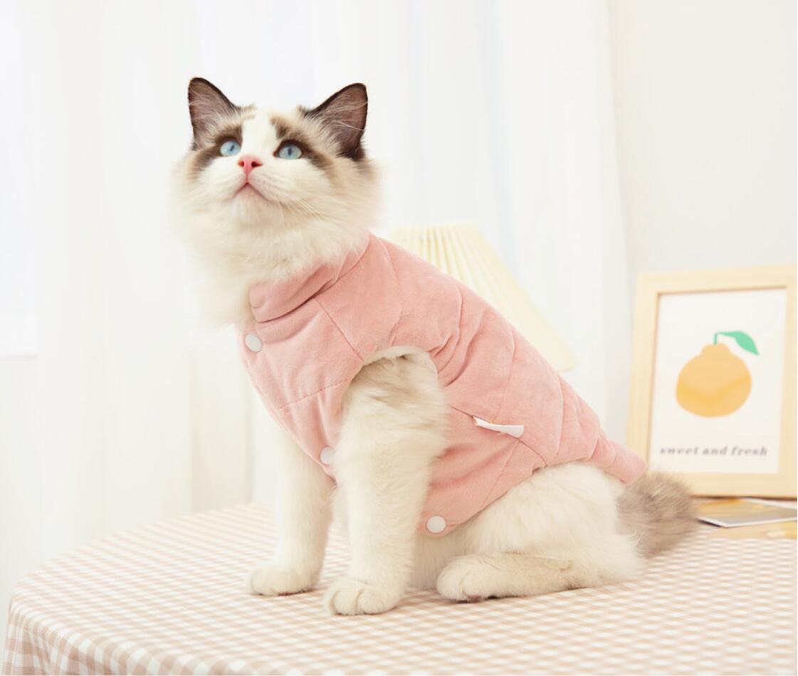 Cappotto per gatti