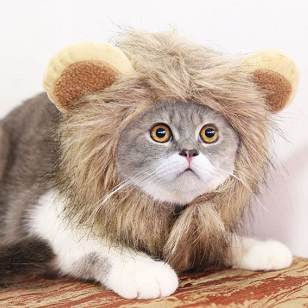Sombrero para mascotas disfraz de gato Cosplay de León Peluca de crin gorro que cubre las orejas gatito vestido ajustable hasta el sombrero Halloween otoño suministros de invierno para animales