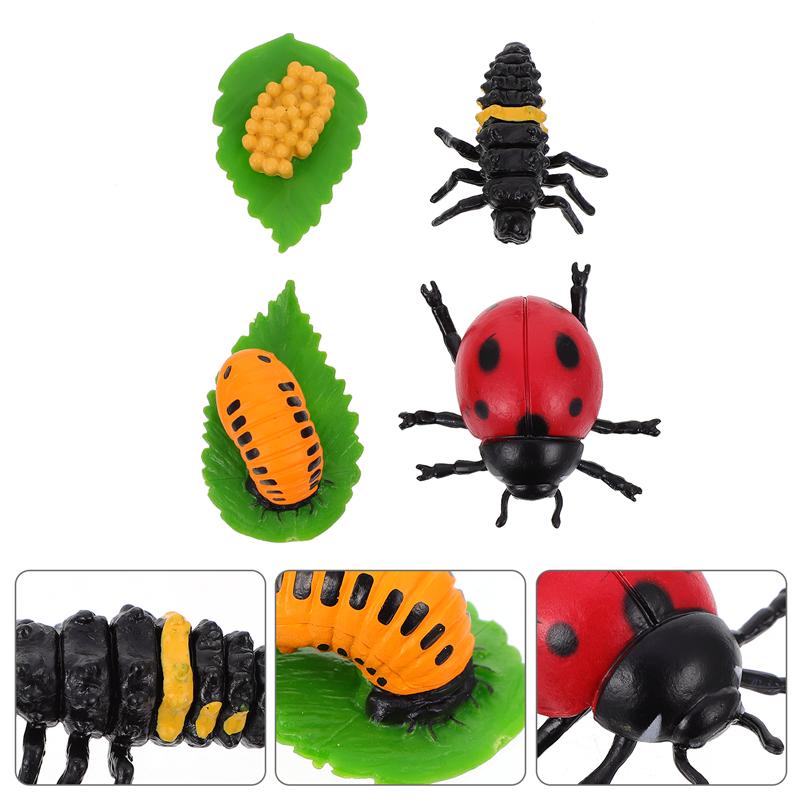 4Pcs Ladybug Plastic Garden Decoration Garden Accessories Growth Cycle Statues Decorations Life Cycle Figurines