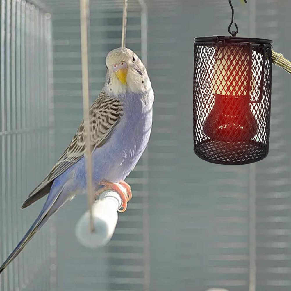 Reptil värmelampa husdjur bur värmeavgivare husdjur coop värmare kit värmeavgivande glödlampa papegoja värmare lampa sköldpadda värmelampa