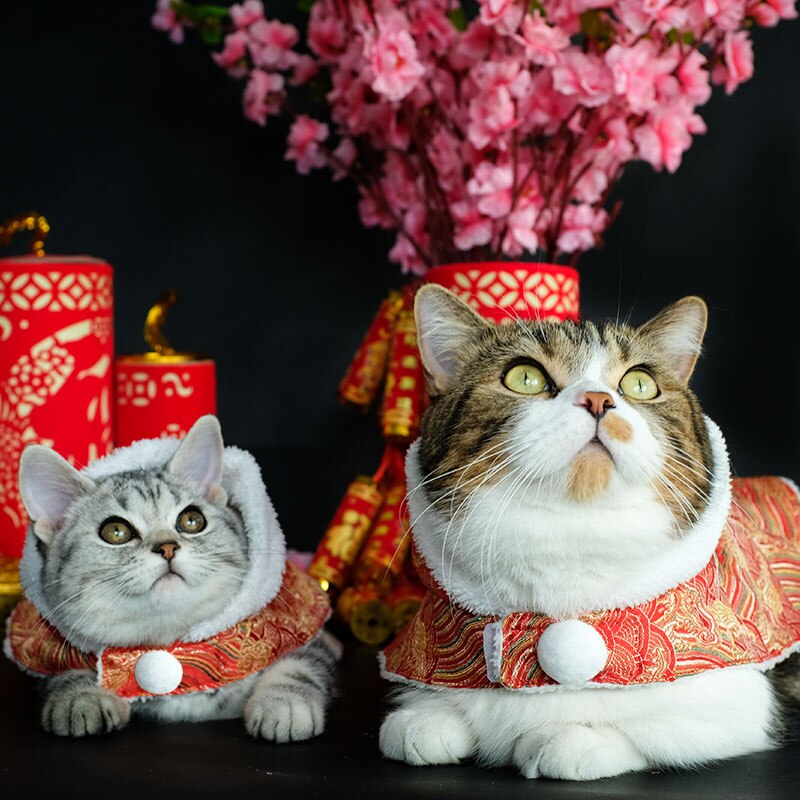Dejlige kattetøj jul kinesisk tøj sphynx kattetøj kæledyr ubranka dla tilbehør yy50ct – Grandado