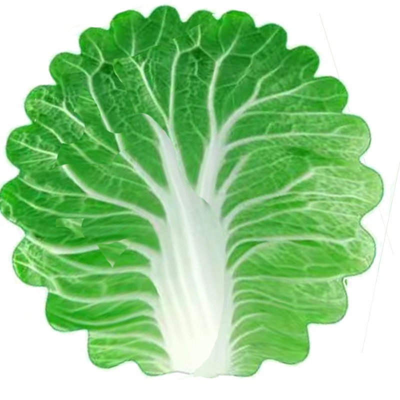 Manta con estampado de lechuga y repollo, manta cálida y suave de felpa para sofá, patrón de verduras, manta polar de franela para niños para camas: 100x140cm