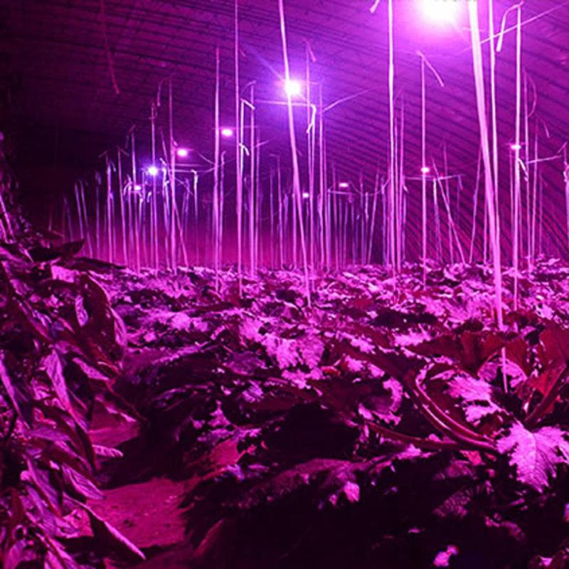 Lámpara de Cultivo LED de espectro completo, lámpara de foco de 8W E27 500lm, sistema hidropónico de invernadero con flores, protector de AC85-265V