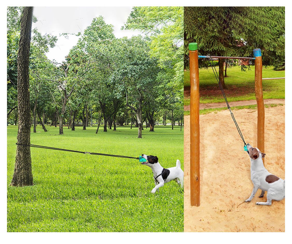 Outdoor dog ground peg dog walking dog tug of War dog toys