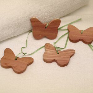 Set Van Ceder Mot Afstotende Cedar Verse Kleding Protector Bal Voor Closet Kasten: 10pcs butterfly