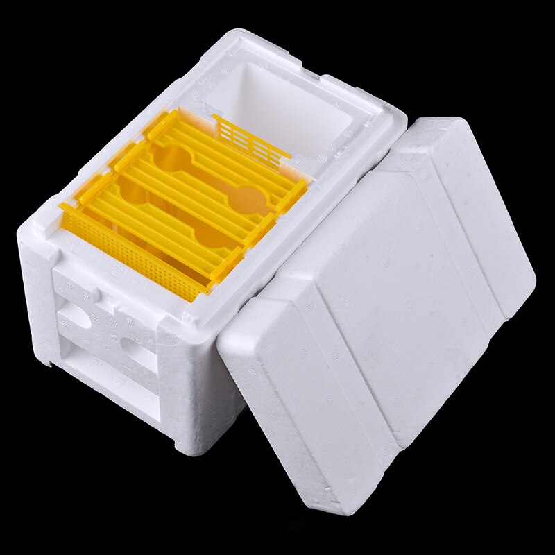 24cm Bee Hive Box Harvest Beehive Pollination Beekeeping Auto Honey Beehive Frame Box for Bee Mating Copulation Beekeeping Tool