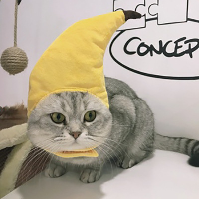 Gorro de gato refinado bonito, gorro elástico de felpa para invierno para mascotas, gorro tejido para cachorros y gatitos, accesorios de decoración para y Cosplay, accesorios para gatos para mascotas: VIOLETA/Violeta
