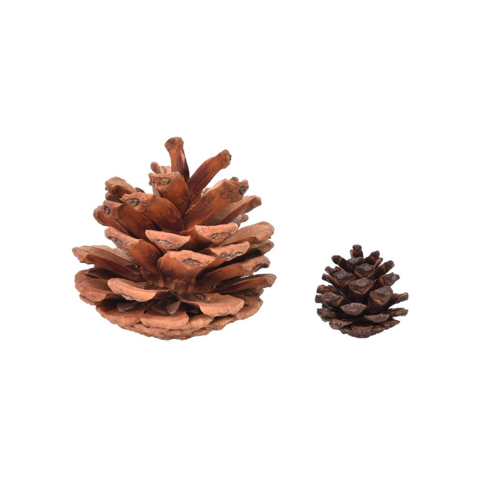 10Pcs Kerst Dennenappels Snuisterij Xmas Tree Party Opknoping Decoratie Voor Thuis Kerst Ornament Enfeites Natal