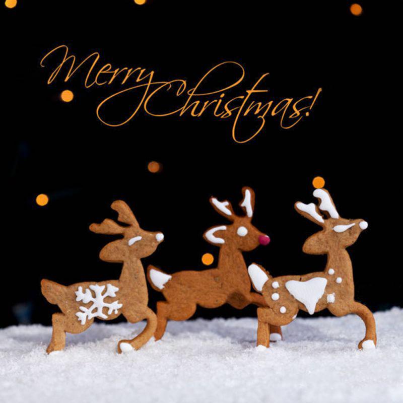 Stainless Steel Cookie Cutter Cake Biscuit Baking Mold Bakeware Cute Cartoon Deer Shape Cake Moulds Baking Pan Tools