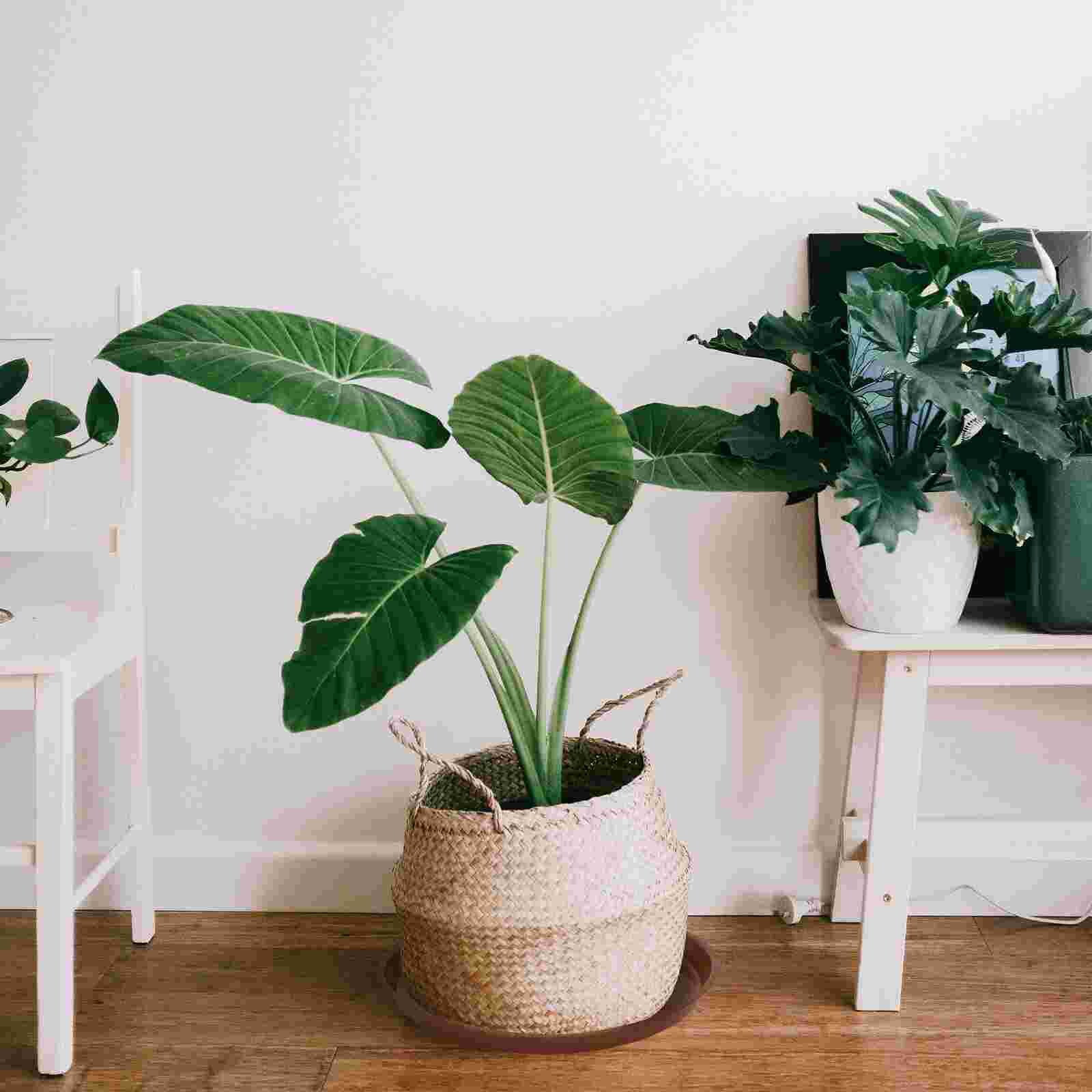 Flowerpot Pots Drought Resistance Preservative Recycled Plastic Desktop Floor-standing Plants Tray Pots