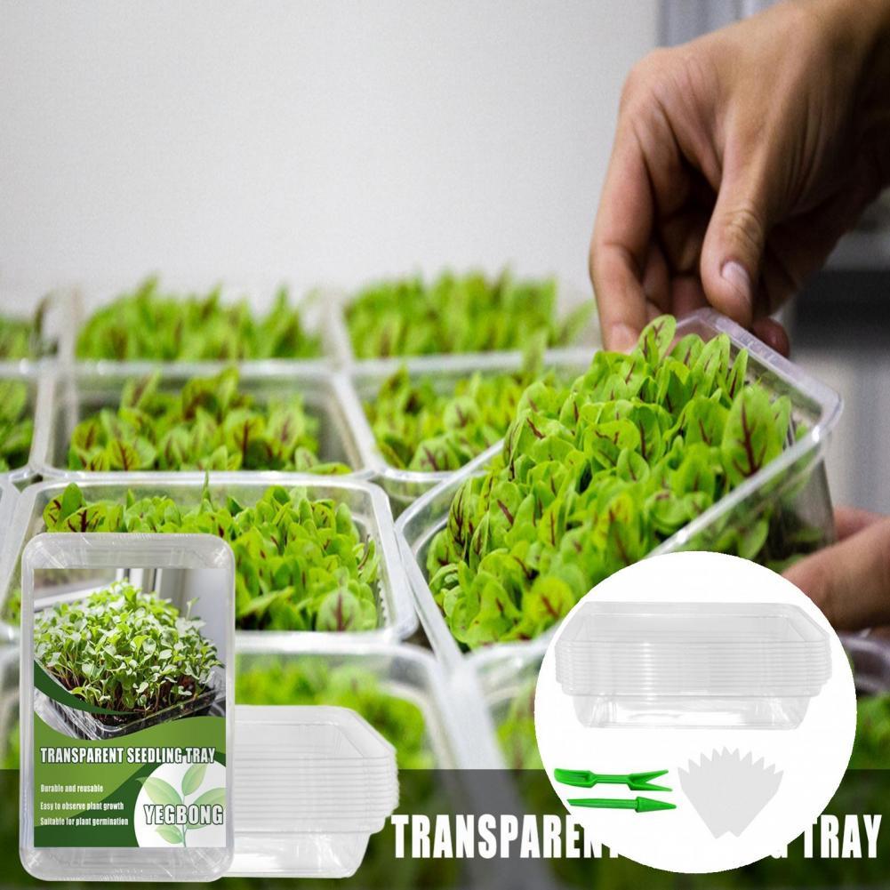 Maceta reutilizable para plantas de vivero, práctica, novedosa, ahorro de espacio, Visible, en patio para plantación, 1 Juego