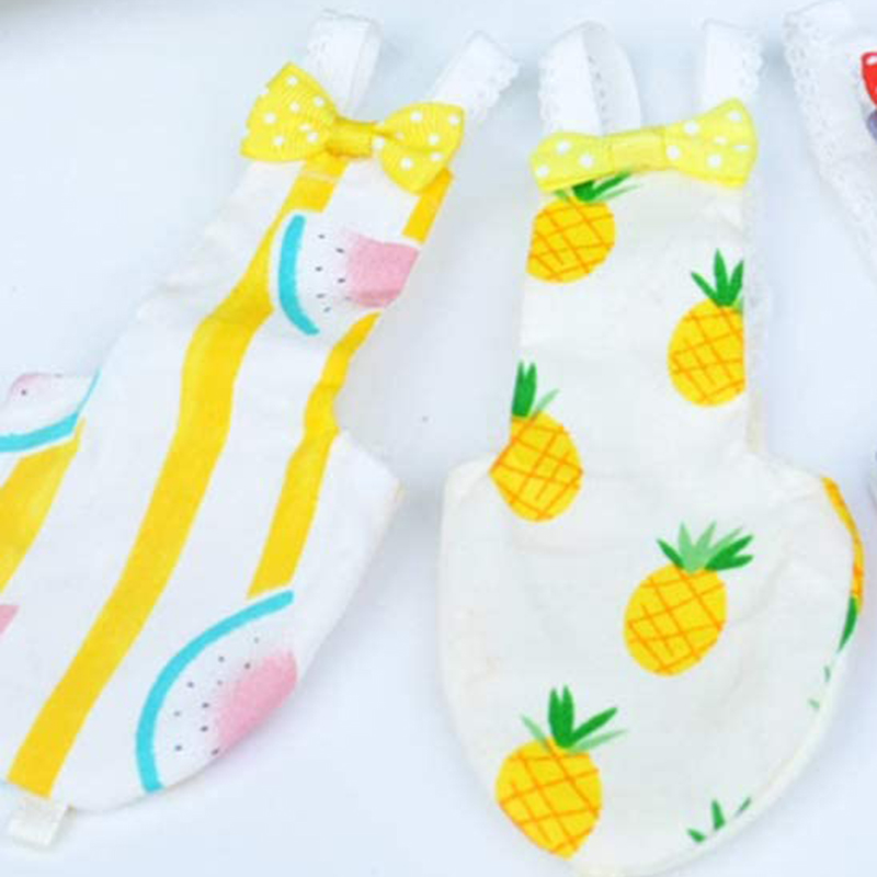 2Pcs Bird Diaper Reusable Washable Parrot Nappies Clothes Flight Suit Dress For Parakeet Cockatiel African Macaw