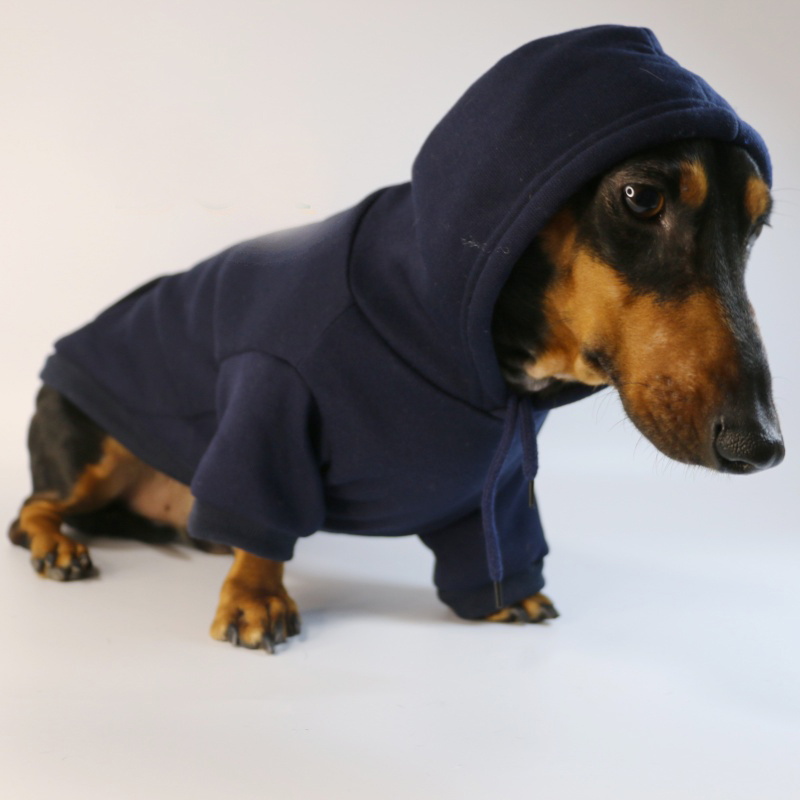 Kul pølse-hettegenser til små hunder, varme valpeklær, dachshund-genser, maskotkostyme, roupa cachorro: S / Hvit