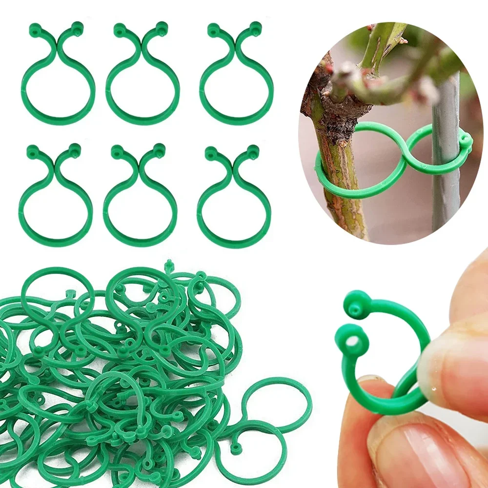 20 pièces Clips de cerclage de vigne de jardin plante groupée boucle porte-anneau tomate jardin plante Support outil jardinage Supports outils