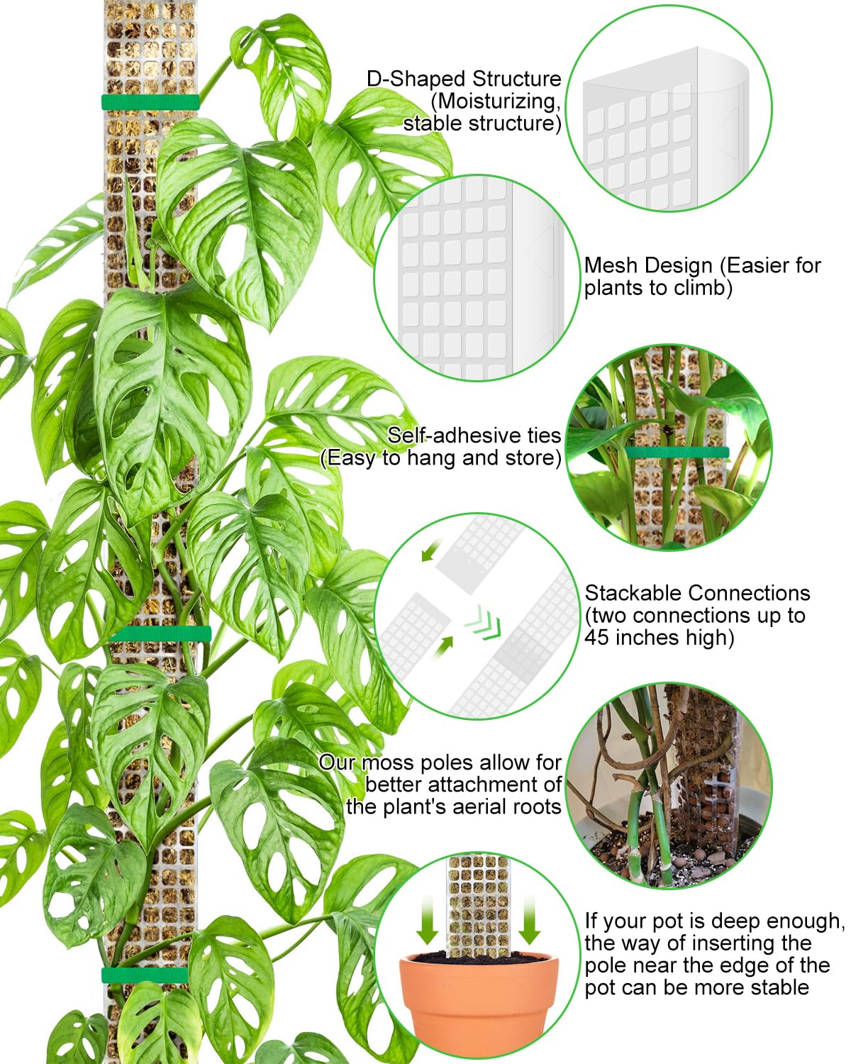 Planter mosestang hageemne blomst planteklatrere bonsai tilbehør potter veiledere, for plantekasser planter vekstholder støtte