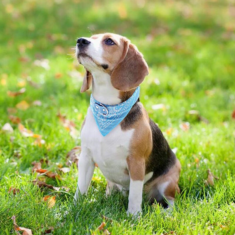 Huisdier Bandana Kraag Voor Honden Katten Verstelbare Pu Lederen Driehoekige Slabbetjes Sjaal Kraag Met Paisley Patroon Voor Puppy Accessoires