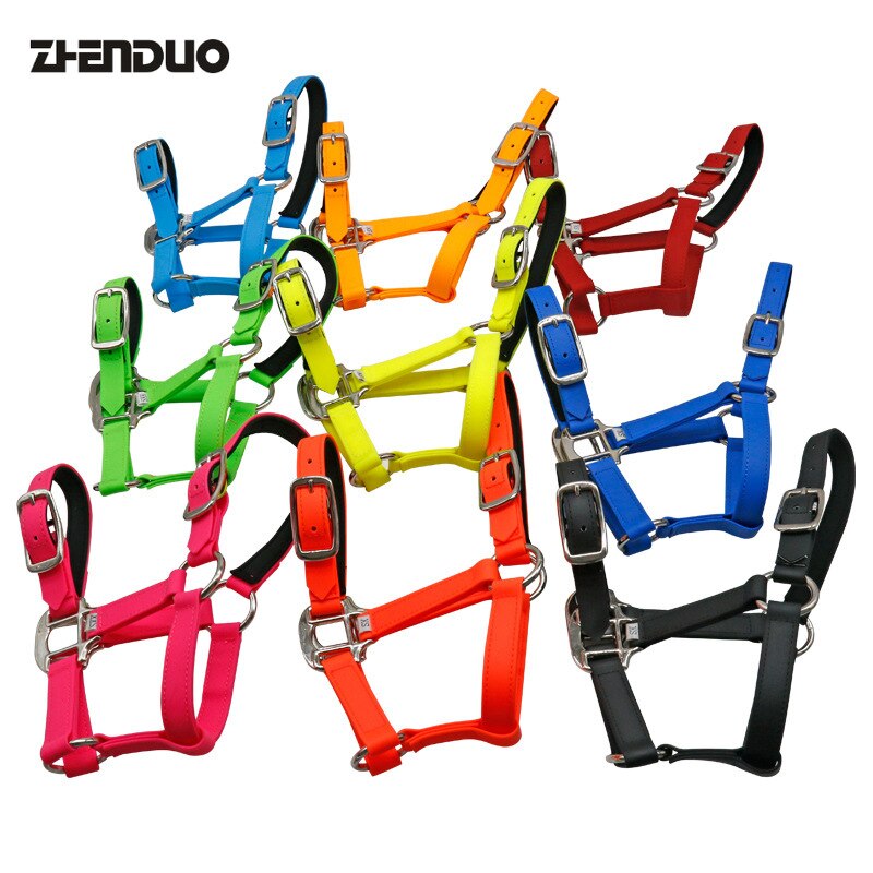 Imbracatura per cavalli