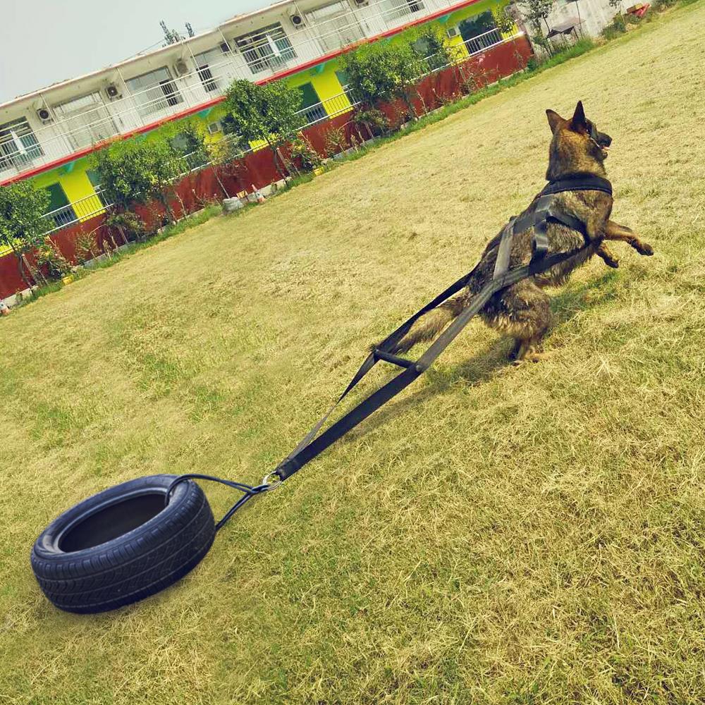 Hund vægt træk sele stærk nylon kæledyr sele til schæfer store hunde agility produkt hund træning produkter