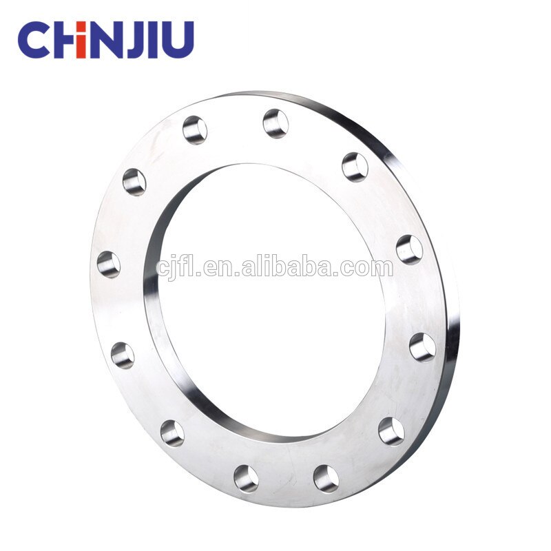 Plumbing Flange JIS10K FF 2 inch Inox Stainless Steel Pipe Flange