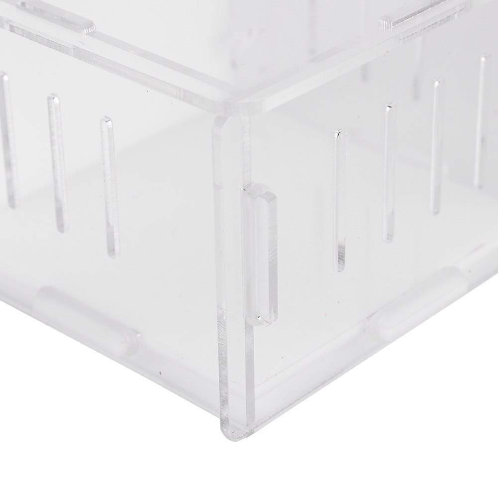 Ants Farm ant farm Acrylic Reptile Breeding Box Insect Landscaping Feeding Box for Fighting Crickets Reptiles Living