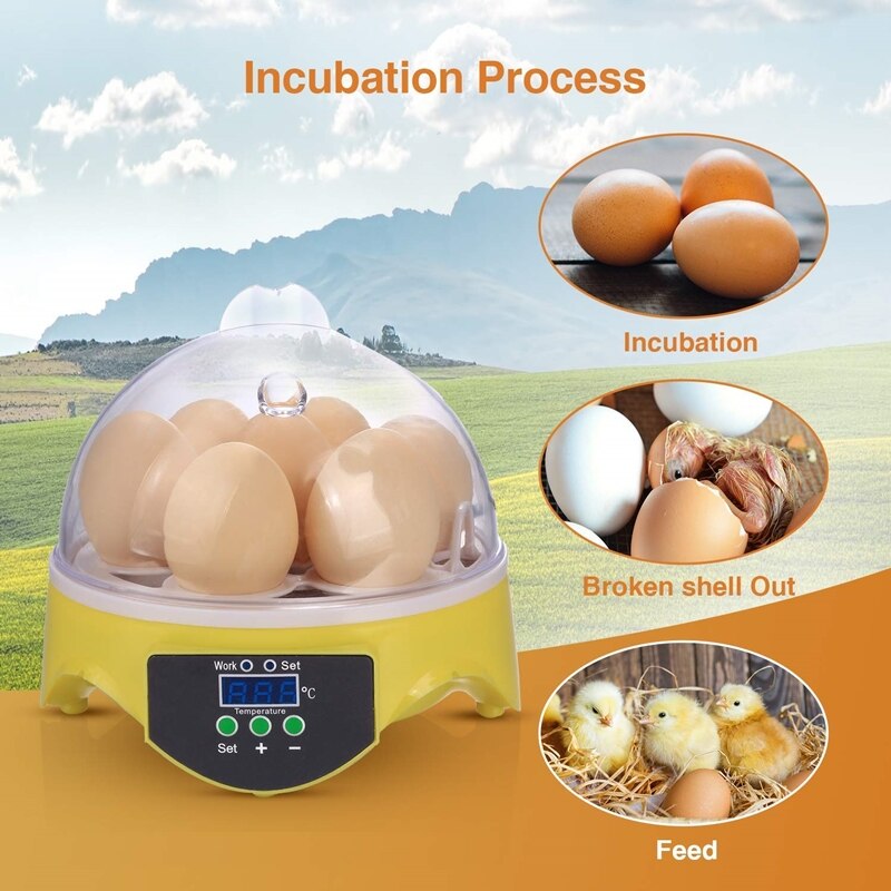 Mini Eggs Incubator Digital Temperature Control Chick Hatchery Incubator Poultry Hatcher Automatic Home Incubation Tools