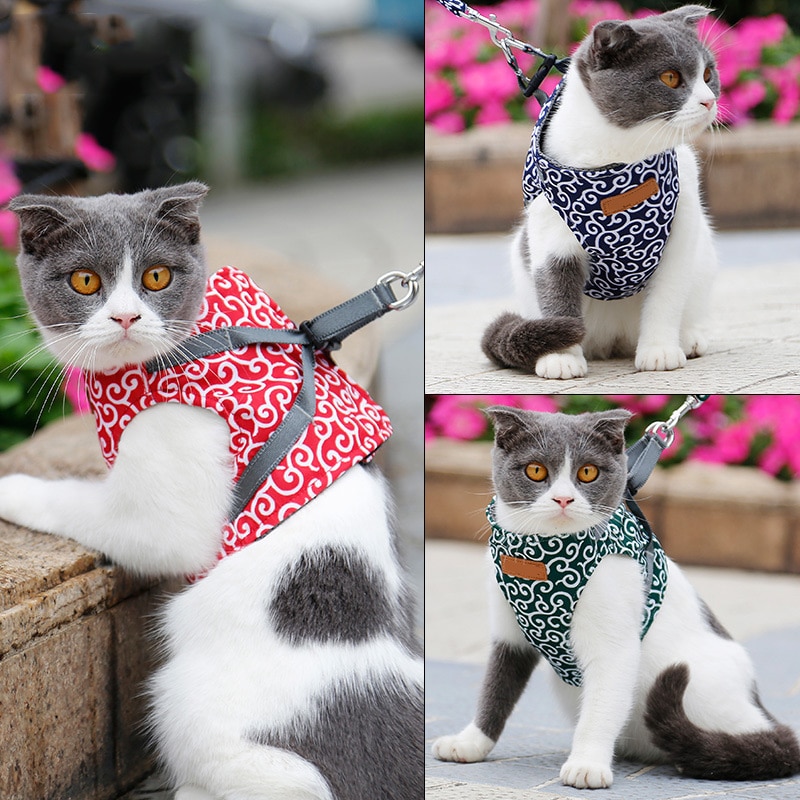 Einstellbare Katze gehen Jacke Weste nutzbar machen Blei Leine für Kleine Mittel Katze Haustier Kragen