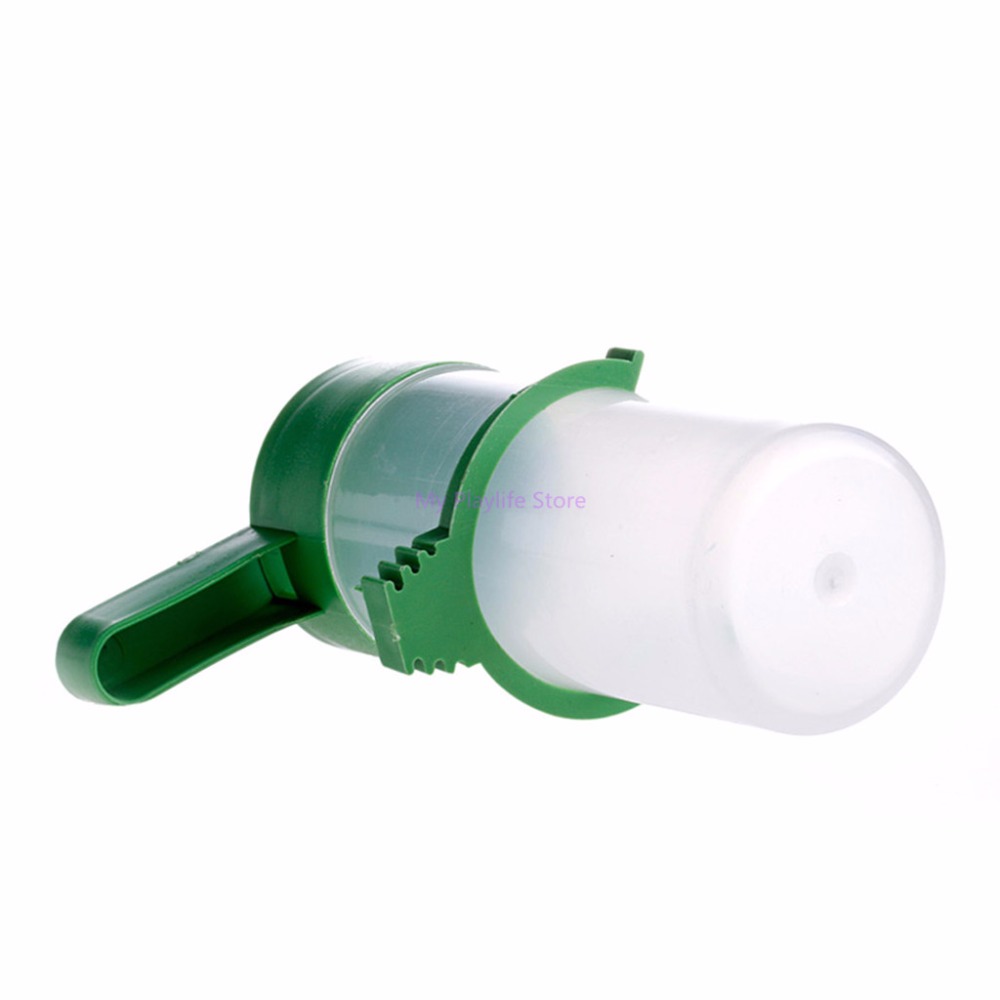 Bebedero para pájaros y loros, alimentador de comida, alimentación de agua para pájaros, pinzones de aviario, suministros antialgas canarios S/L C42