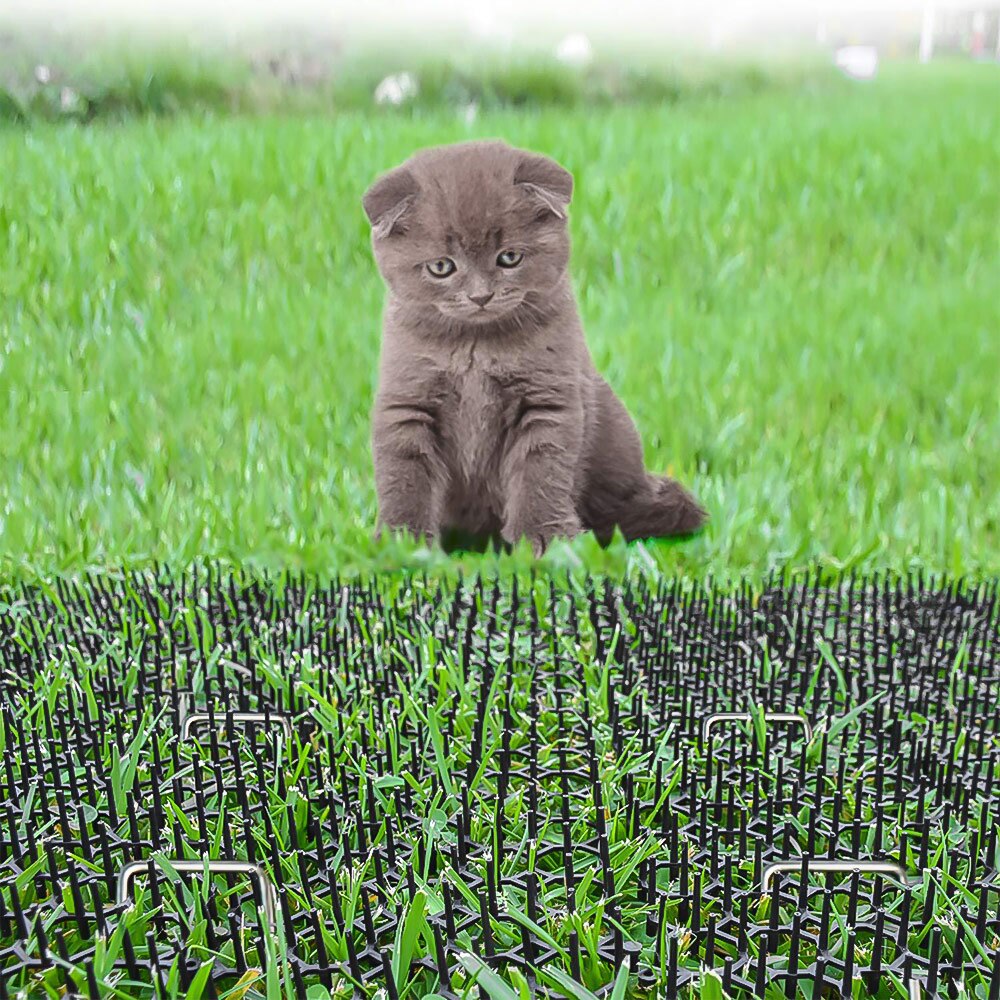 Filet Anti-chat pour jardin, clôture garde les chats à distance, clôture de balcon en plastique, tapis d'épine pour chat, filet de Protection des plantes de jardin
