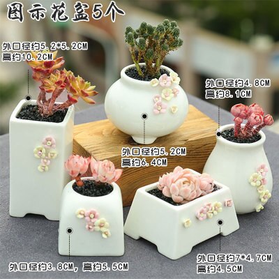 Succulent Bloempot Keramische Combinatie Set Kleine Verse Speciale Vlezige Plant Pot: A