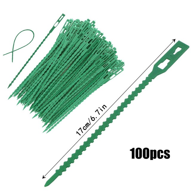 Bastones de bambú para plantas, Estaca de bambú para flores, palos de repuesto profesionales, Clips para plantas, arreglo de flores, suministros de jardín: H-100pcs