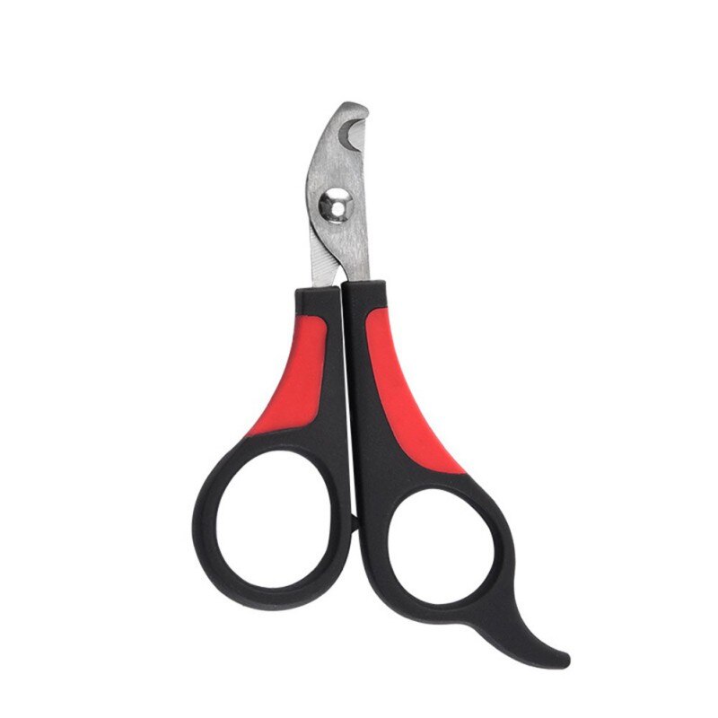 Coupe-ongles pour animaux domestiques, ciseaux de coupe pour chiens, chats, oiseaux, cochon d'inde, griffes, coupe-patte, oiseau, perroquet, cisaille les animaux: Rouge