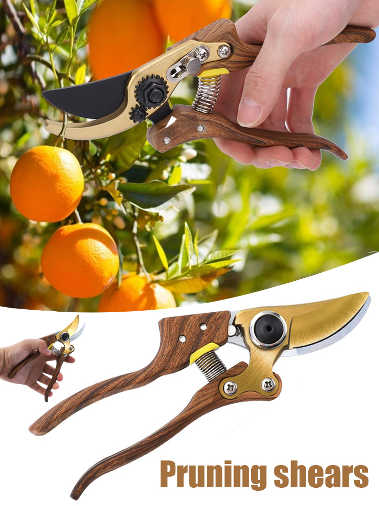 Tijeras de podar para jardinería, herramienta de poda para horticultura, arbustos, ramas y huerto