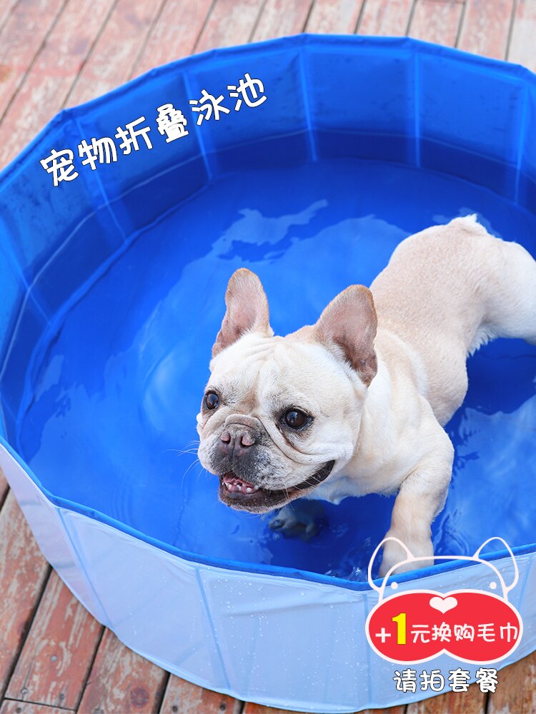 Foldable Dog Pool Pet Bath Swimming Tub Bathtub Outdoor Indoor Collapsible Bathing Pool for Dogs Cats Kids Pool