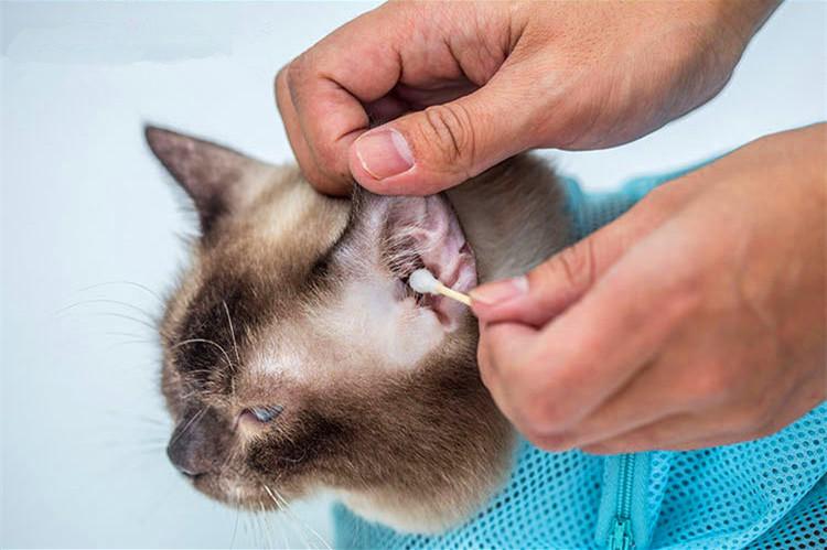 Multifunctionele verzorgingstas voor katten, nageltas voor katten, badtassen voor katten, accessoires voor katten, producten voor huisdieren, schoonmaakproducten voor katten