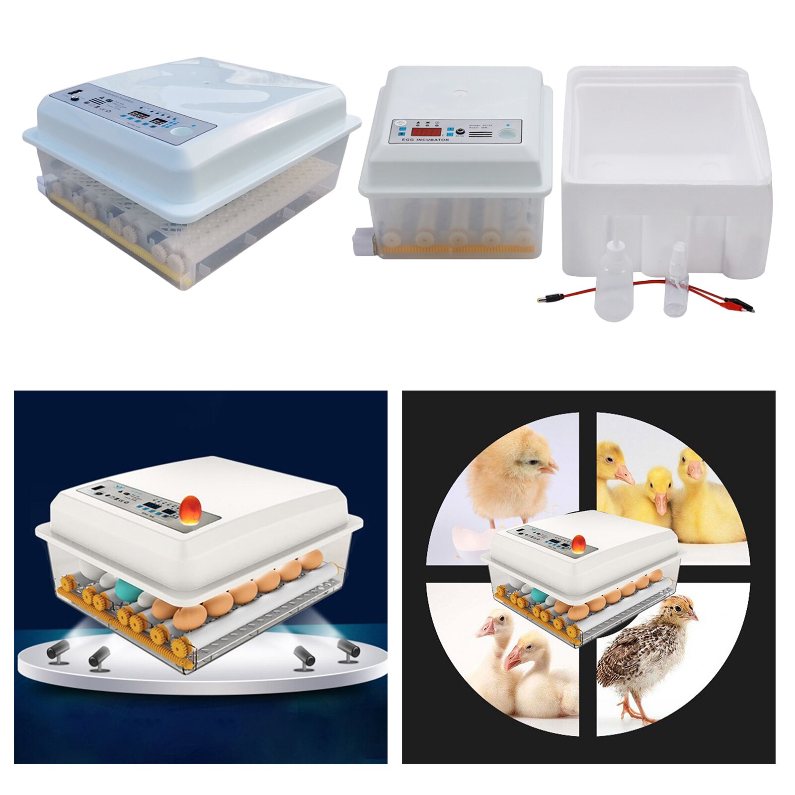 Egg Incubator Can Hold 16 36 Eggs Automatic Egg Tu Grandado