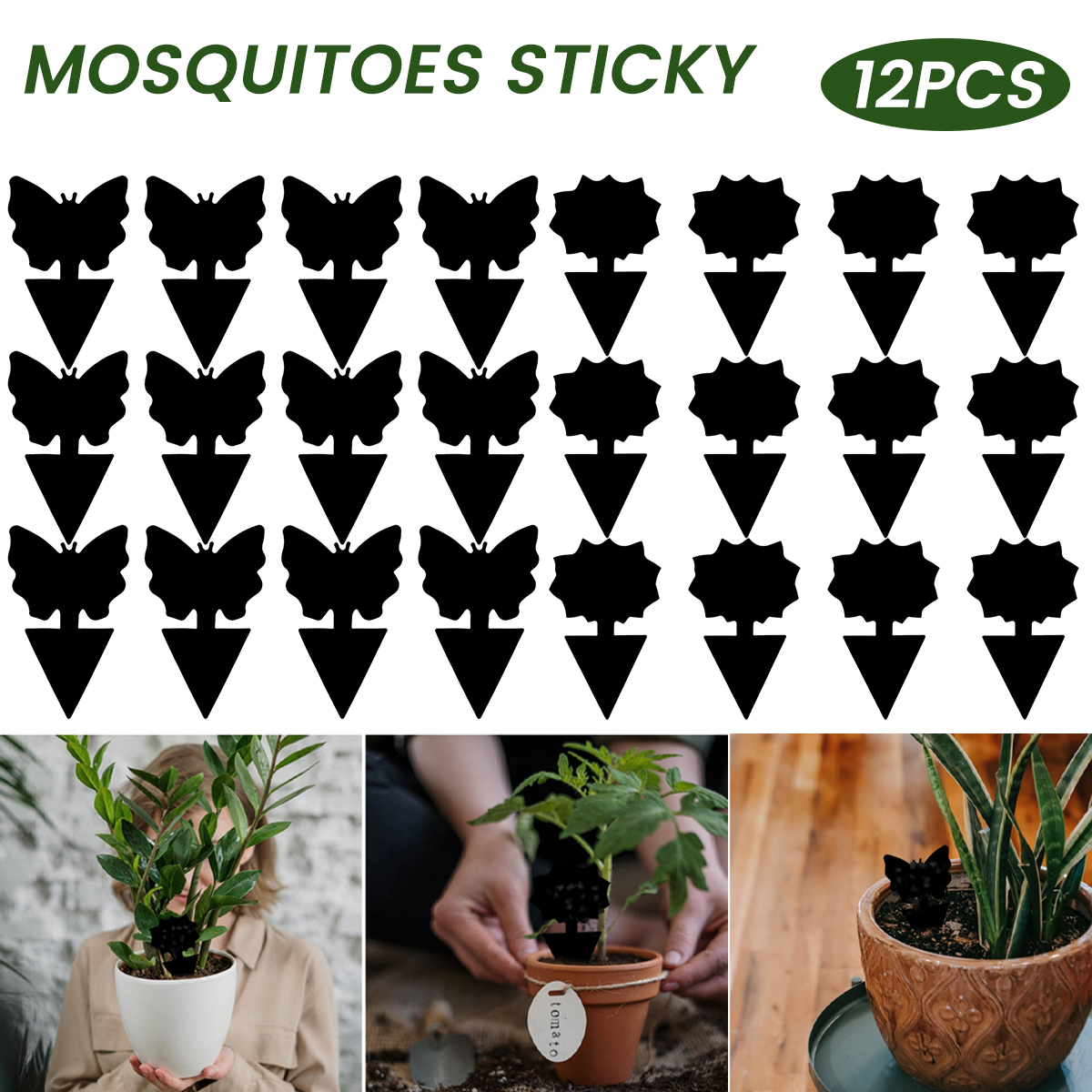 Papier collant imperméable pour plantes en pot, piège à mouches, panneau collant pour mouches de fruits, naturel, sûr, champignon, mounat