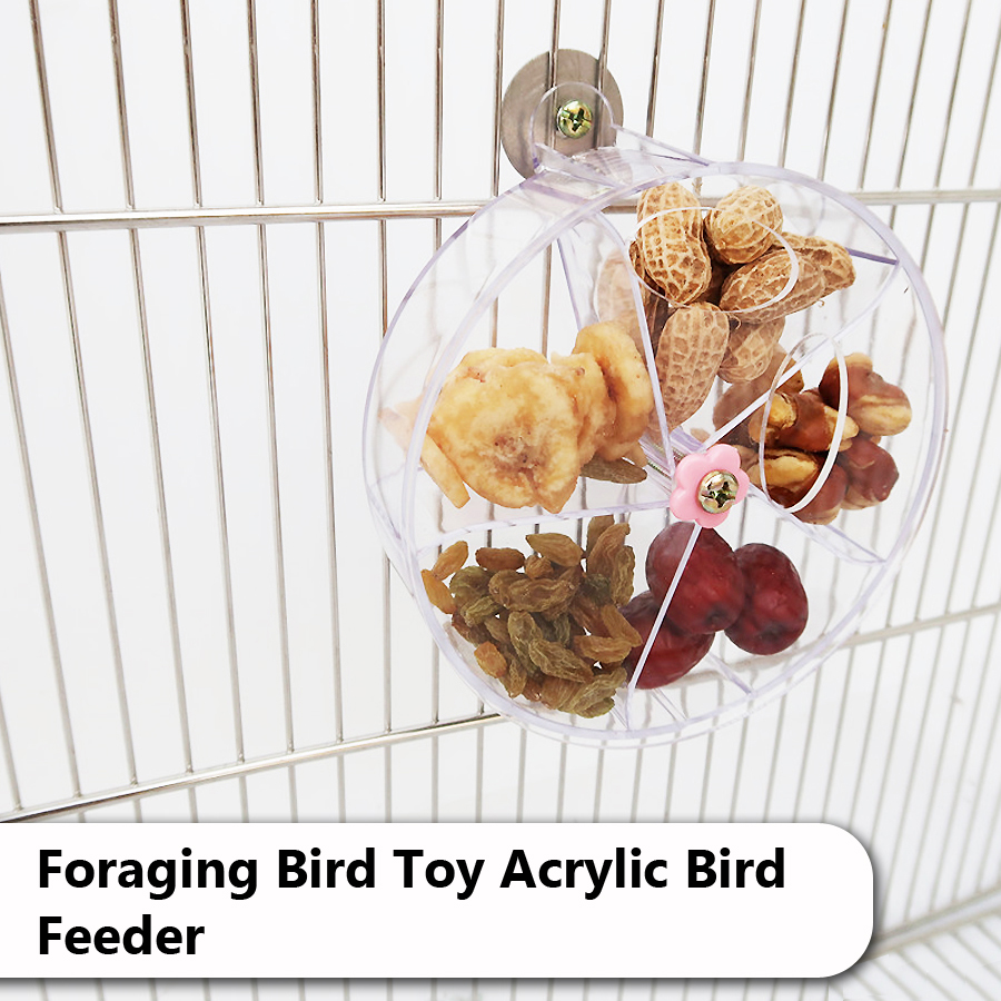 Roues de jouets pour perroquets rotatifs pour animaux de compagnie, morsure à mâcher pour oiseaux, boîte de nourriture de recherche, mangeoire à Cage, accessoires pour oiseaux
