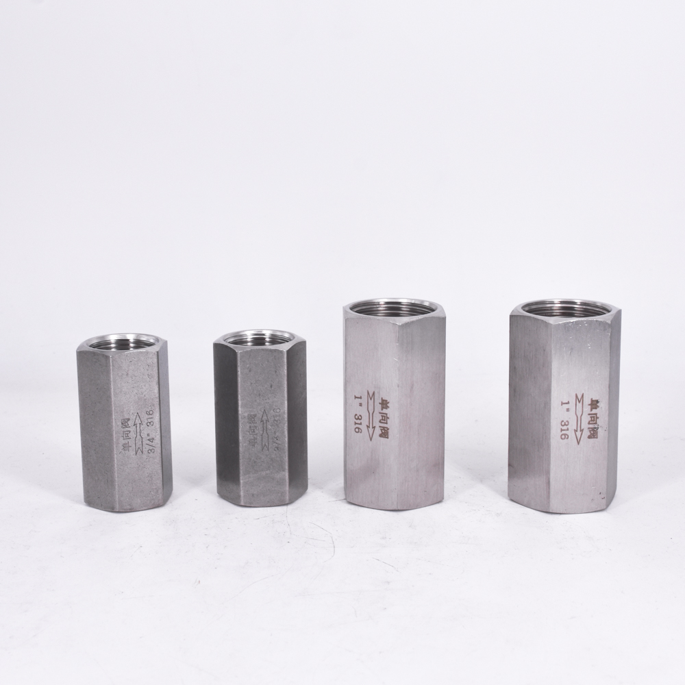 1/8" 1/4" 3/8" 1/2" 3/4" 1" BSP Female Hex One Way Check Valve Non-Return Inline 304 316 Stainless Steel