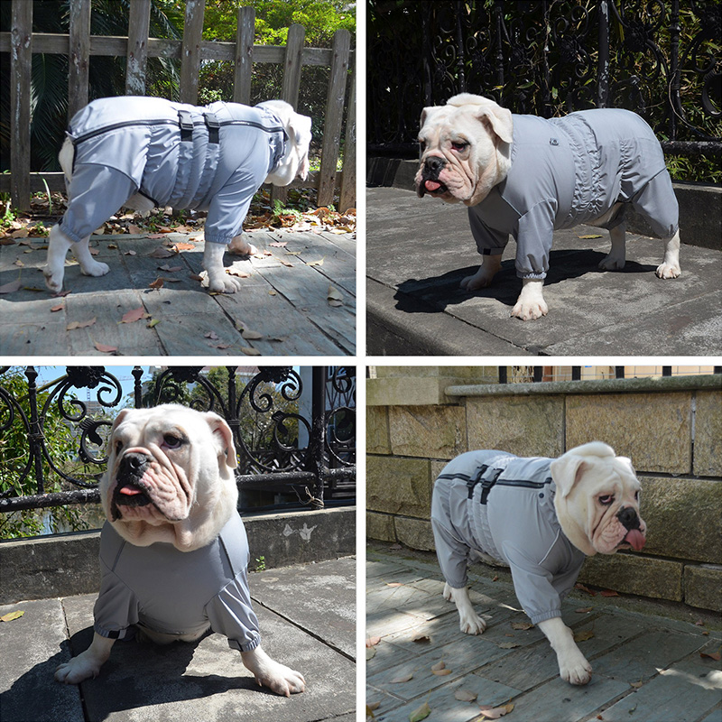 Hunde-Regenmantel, wasserdicht, für Haustiere, 4-Bein-Regenmantel, Kleidung für Bulldogge, Korgi, Regenmantel für kleine, mittelgroße und große Hunde, Gesamt für Hunde