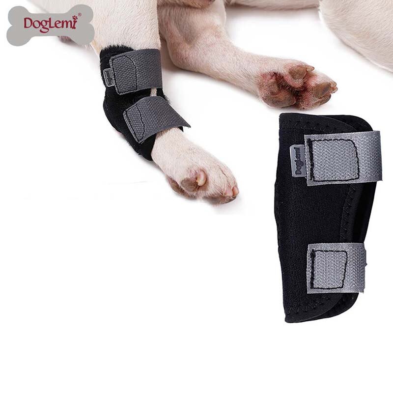 Kortbenet hund opsving bandage kæledyr knæbeskyttere benbeskyttere forebyggelse af gigt skade anti-twist fast beskyttelsesovertræk