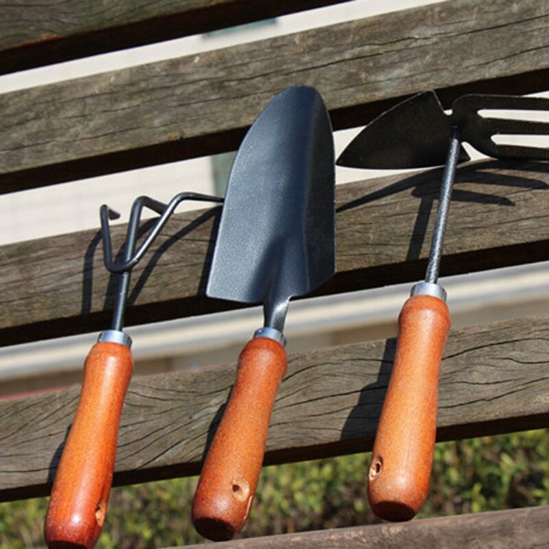 Mini Schop Hark Set Mini Tuin Bonsai Gereedschap Set Houten Handvat Metal Head Schop Voor Bloemen Potplanten
