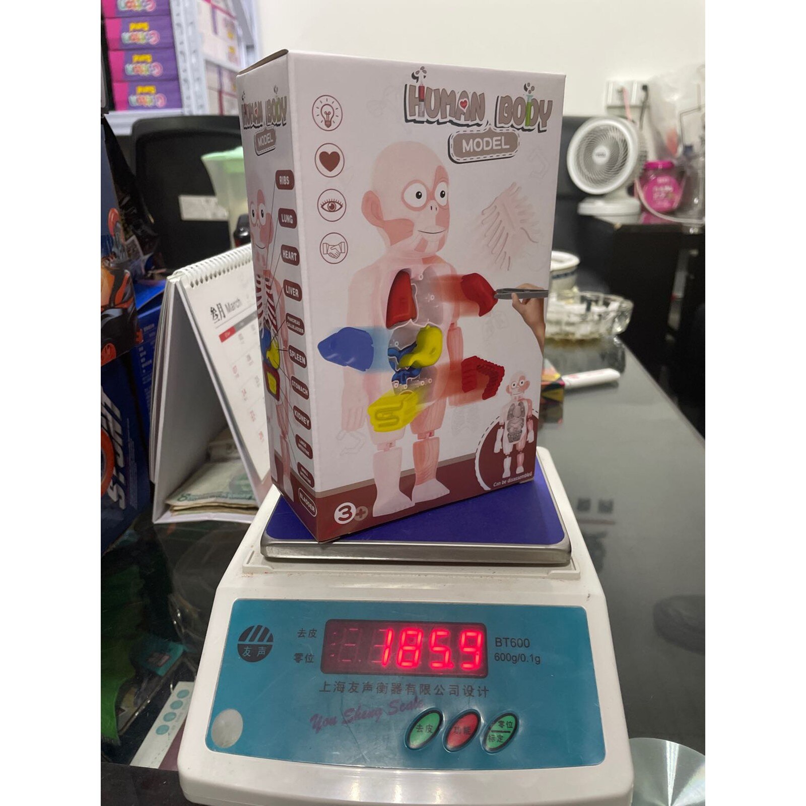 Menselijk Orgel Model Diy Gemonteerd Enlightenmen Speelgoed Kinderen Wetenschap En Onderwijs Biologie Kids Diy Wetenschap Educatief Speelgoed