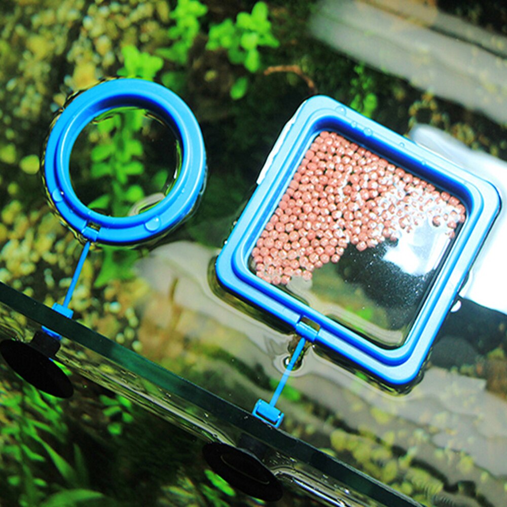 1PCS aquarium floating fish feed feeding ring fish tank aquarium floating food tray feeder buoyancy suction cup