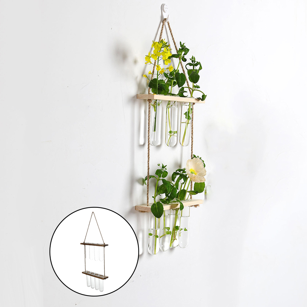 Terrario colgante de pared, plantador de flores, propagador para cortar, decoración de jardín